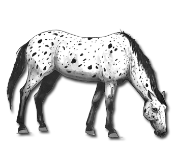 Indivarsa